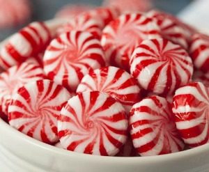 Recipe | Chocolate Peppermint Cheesecake | Bruegger's Bagels